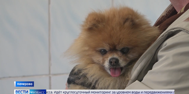 20260410 КЕМЕРОВО ВЕСТИ ПРАЙМ-_00-08-08-932_03