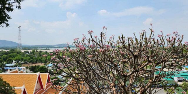 Фото пресс-службы МегаФона_9