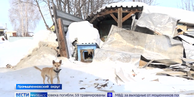 ISO Media file produced by Google Inc_ Created on_ 02_24_2026_-0-13-16-914