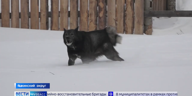 ISO Media file produced by Google Inc_ Created on_ 03_11_2026_-0-10-36-351