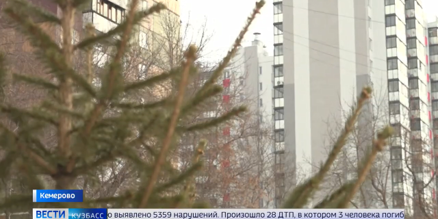 ISO Media file produced by Google Inc_ Created on_ 03_23_2026_-0-16-49-541