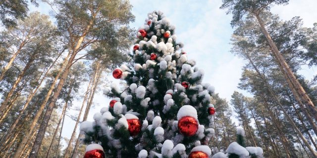 photo_5276166825932688416_y